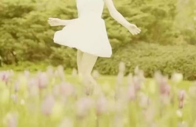 虎的介绍作文400字推荐7篇