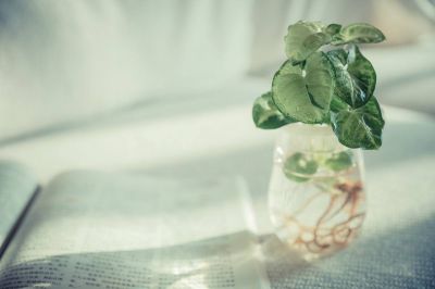 干部的心得体会6篇