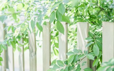 孝敬父母事迹优质5篇