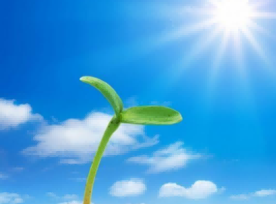 老师个人年度考核总结优质7篇