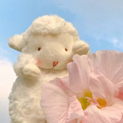 少先队辅导员先进事迹材料6篇