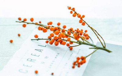 忆安全事故及心得体会优秀5篇