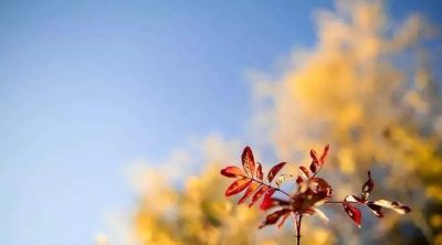 端午节教育主题班会教案7篇