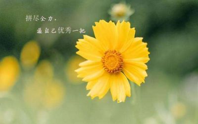 2024中班班级工作计划优秀7篇