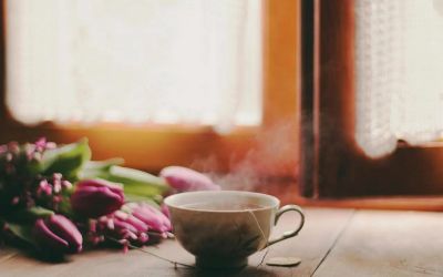 托班教师工作计划5篇